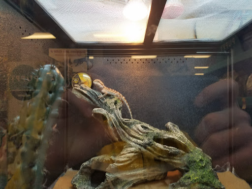 Pet Supply Store «PetSmart», reviews and photos, 2 Brick Plaza, Brick, NJ 08723, USA