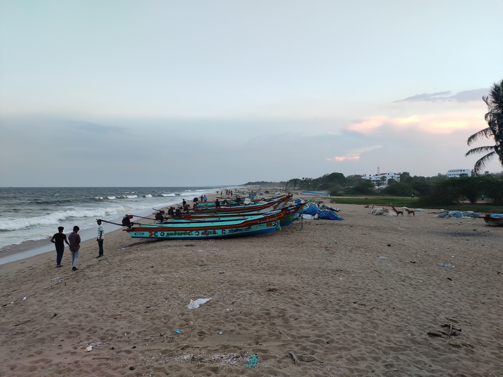 Foto de Pondicherry University Beach com meios de comunicação nível de limpeza