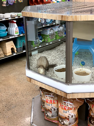 Pet Supply Store «Petco Animal Supplies», reviews and photos, 7901 Lansdowne Ave #1009a, Upper Darby, PA 19082, USA