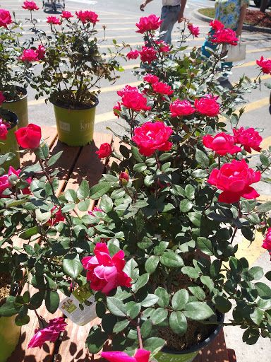 Home Improvement Store «The Home Depot», reviews and photos, 871 North Hwy 27, Lady Lake, FL 32159, USA