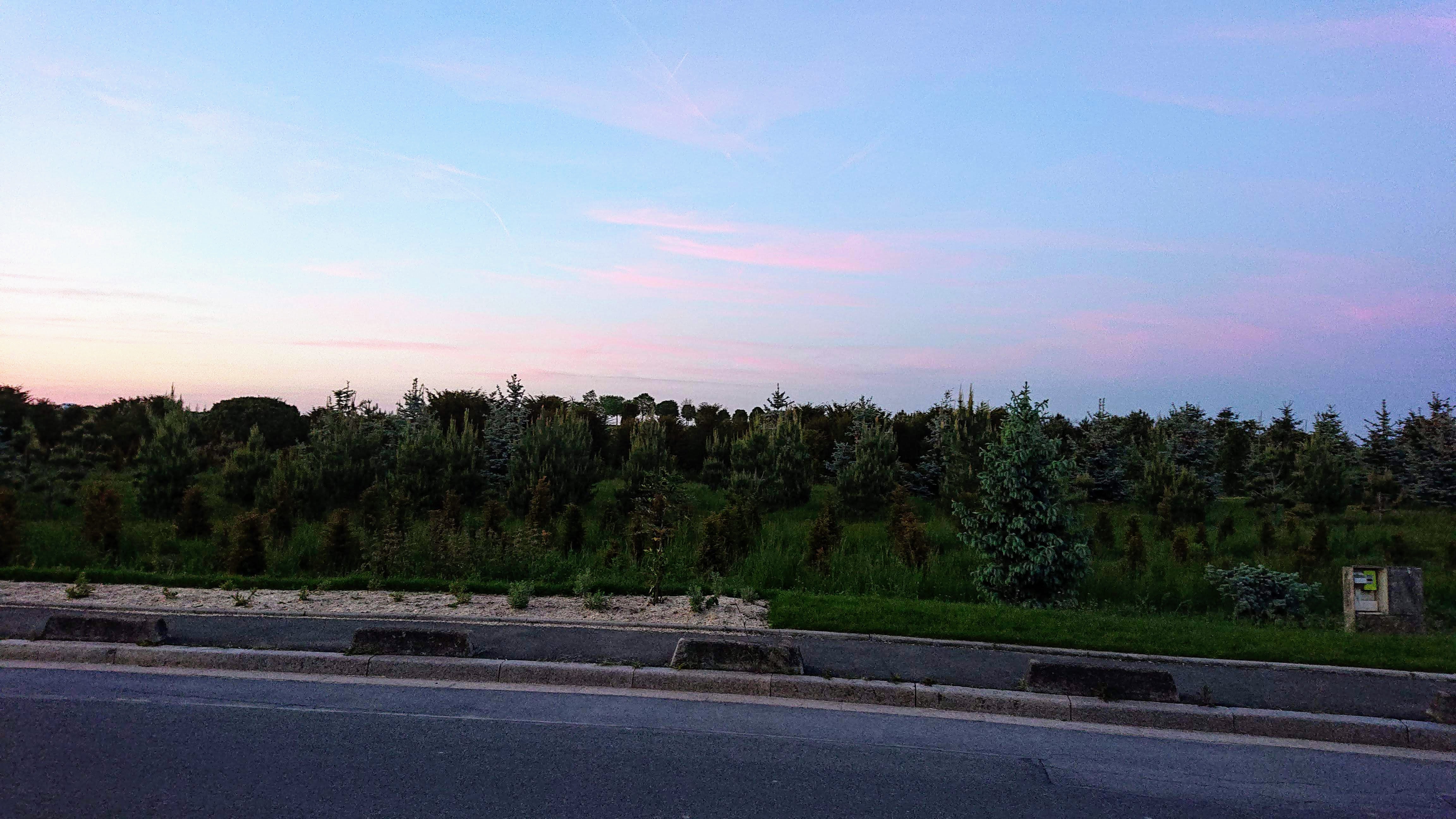 Photo n° 2 de l'avis de Stef.s fait le 30/05/2019 à 09:25