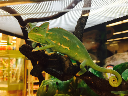 Pet Supply Store «Petco», reviews and photos, 369 S Weber Rd, Romeoville, IL 60446, USA