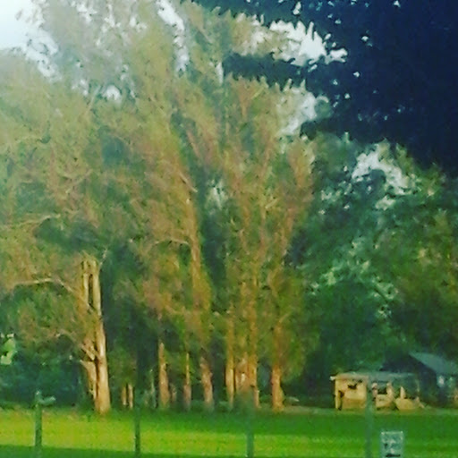 Animal Protection Organization «Petaluma Animal Services Foundation», reviews and photos