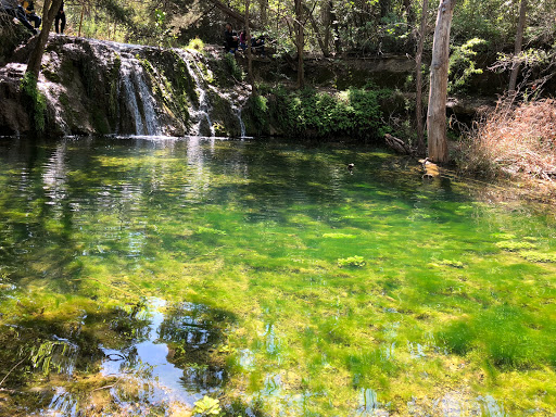 Park «Wild Basin Wilderness Preserve», reviews and photos, 805 N Capital of Texas Hwy, Austin, TX 78746, USA