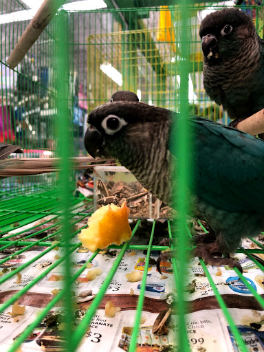 Pet Supply Store «Super Pet Store», reviews and photos, 5220 S Pulaski Rd, Chicago, IL 60632, USA