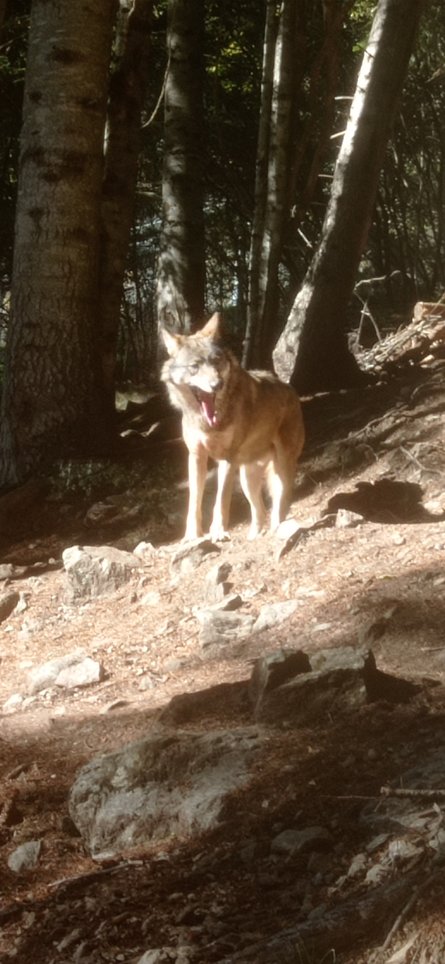 Photo n° 3 de l'avis de Cyril.A fait le 01/10/2022 à 19:11