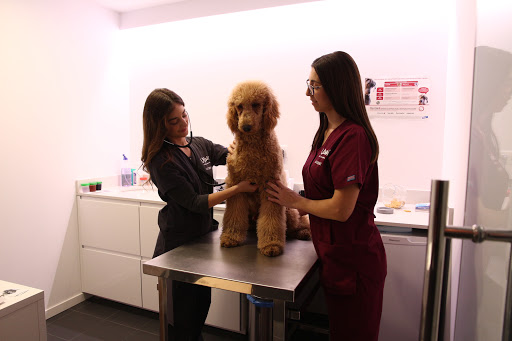 Upendi Clínica Veterinaria Valencia en Valencia