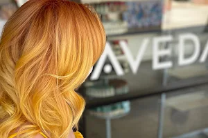 Distinctive Salon Aveda (Surprise) image