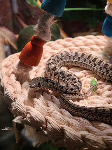 Pet Store «Claremont Pet & Aquarium Center», reviews and photos, 201 Washington St, Claremont, NH 03743, USA