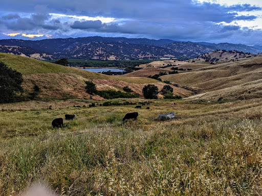 Park «Pena Adobe Regional Park», reviews and photos, 4699 Peña Adobe Rd, Vacaville, CA 95687, USA