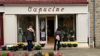 Capucine à Saint-Quay-Portrieux