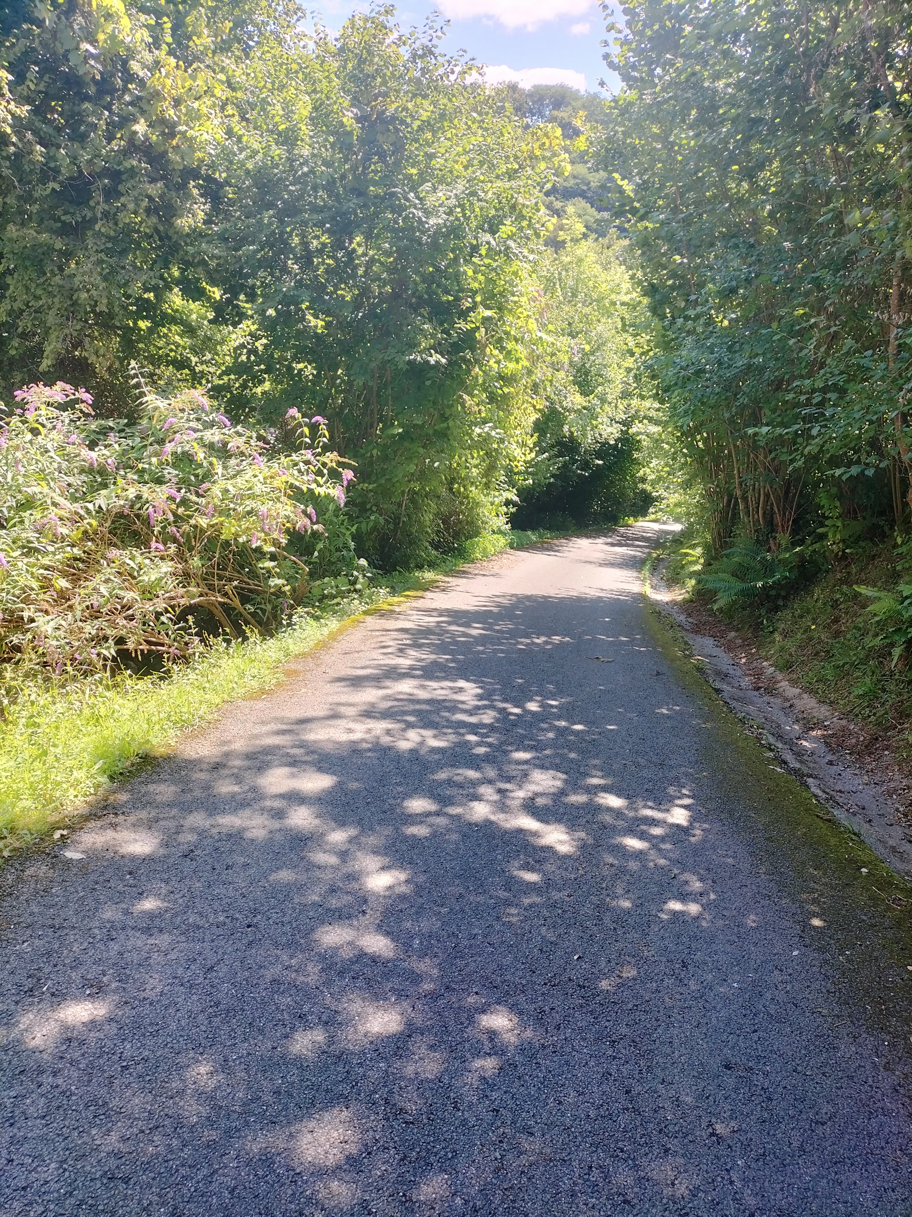 Photo n° 6 de l'avis de Tef.U fait le 15/08/2023 à 12:02