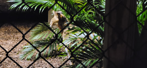 Tourist Attraction «Panther Ridge Conservation Center», reviews and photos, 14755 Palm Beach Point Blvd, Wellington, FL 33414, USA