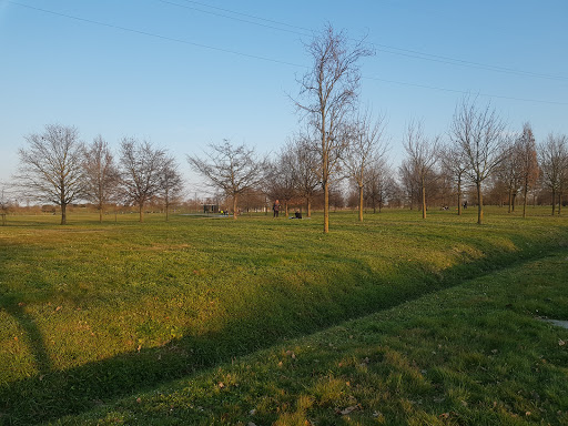 Parco Comunale Veneziano