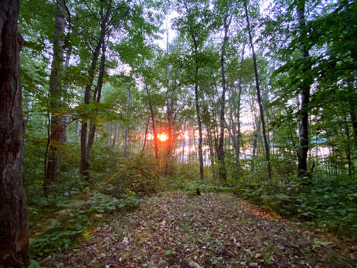 Bicycle Store «Seven Spokes Bike Shop», reviews and photos, 1044 Cleveland Ave S, St Paul, MN 55116, USA