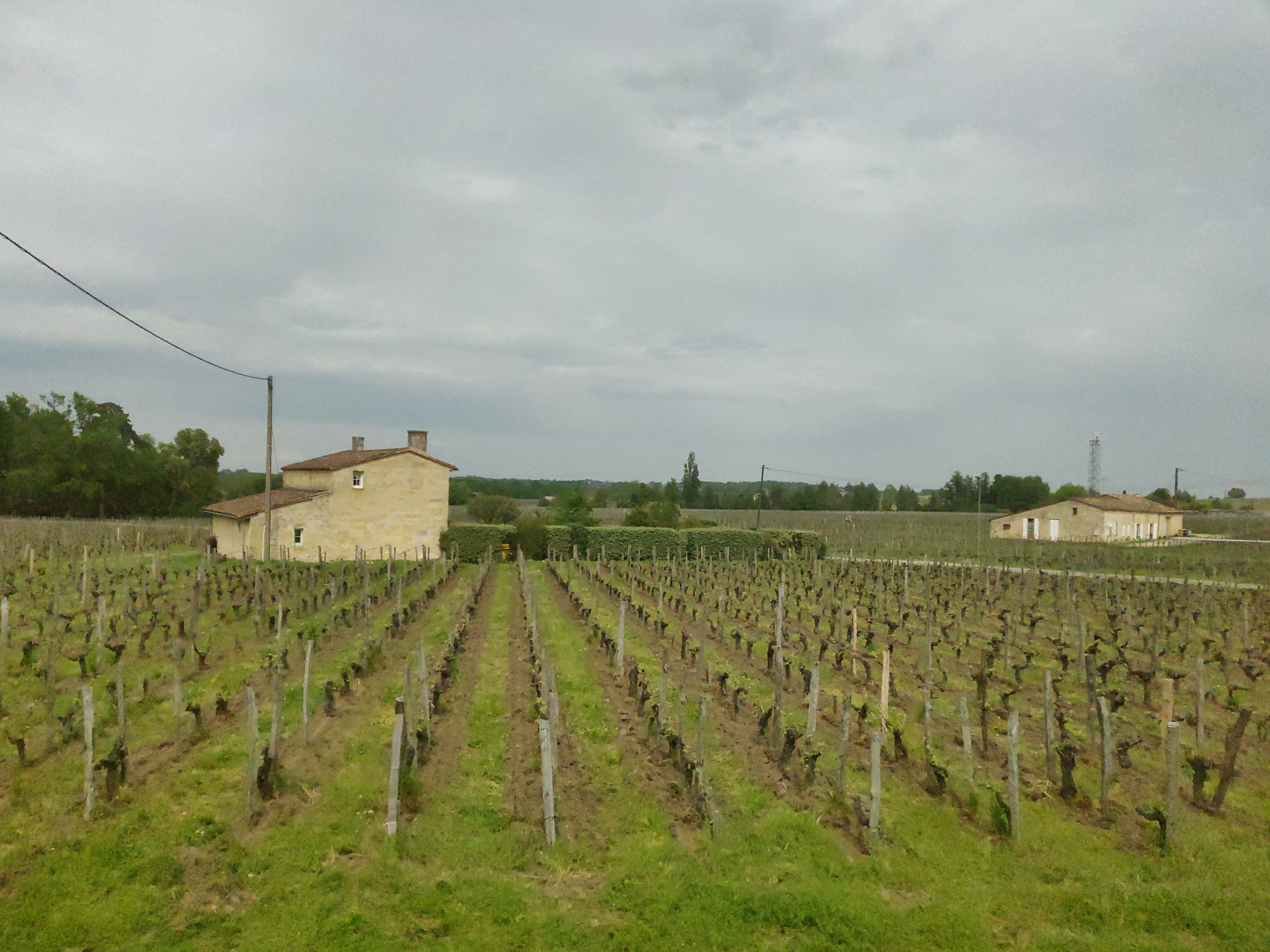 Photo n° 14 de l'avis de Zirun.a fait le 28/04/2022 à 12:08