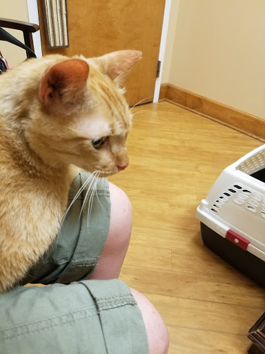 3105 Parkbrooke Cir, Woodstock, GA 30189, USA