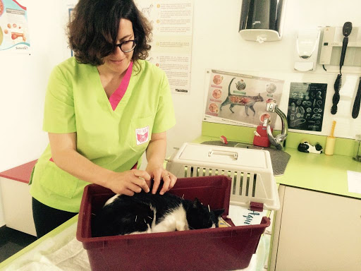 Reivet - Centro Veterinario de Referencia En Rehabilitación y Acupuntura Veterinaria en Girona
