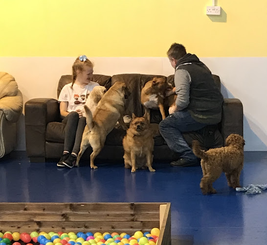 DogsZone - Dog Daycare Centre (Warrington) - Dog trainer