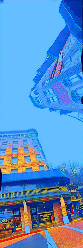 Explore tattoo sleeve ideas with trees, creative tattoo ideas in Eureka Springs, available at Sailors Luck Tattoo