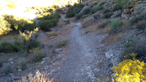 Hiking Area «Monolith Garden Trail», reviews and photos, Metwell Dr, Kingman, AZ 86401, USA