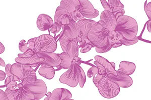 Wild Orchid Salon Urody i Salon Fryzjerski image