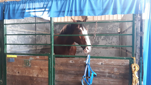 Fairground «The Evergreen State Fairgrounds», reviews and photos, 14405 179th Ave SE, Monroe, WA 98272, USA