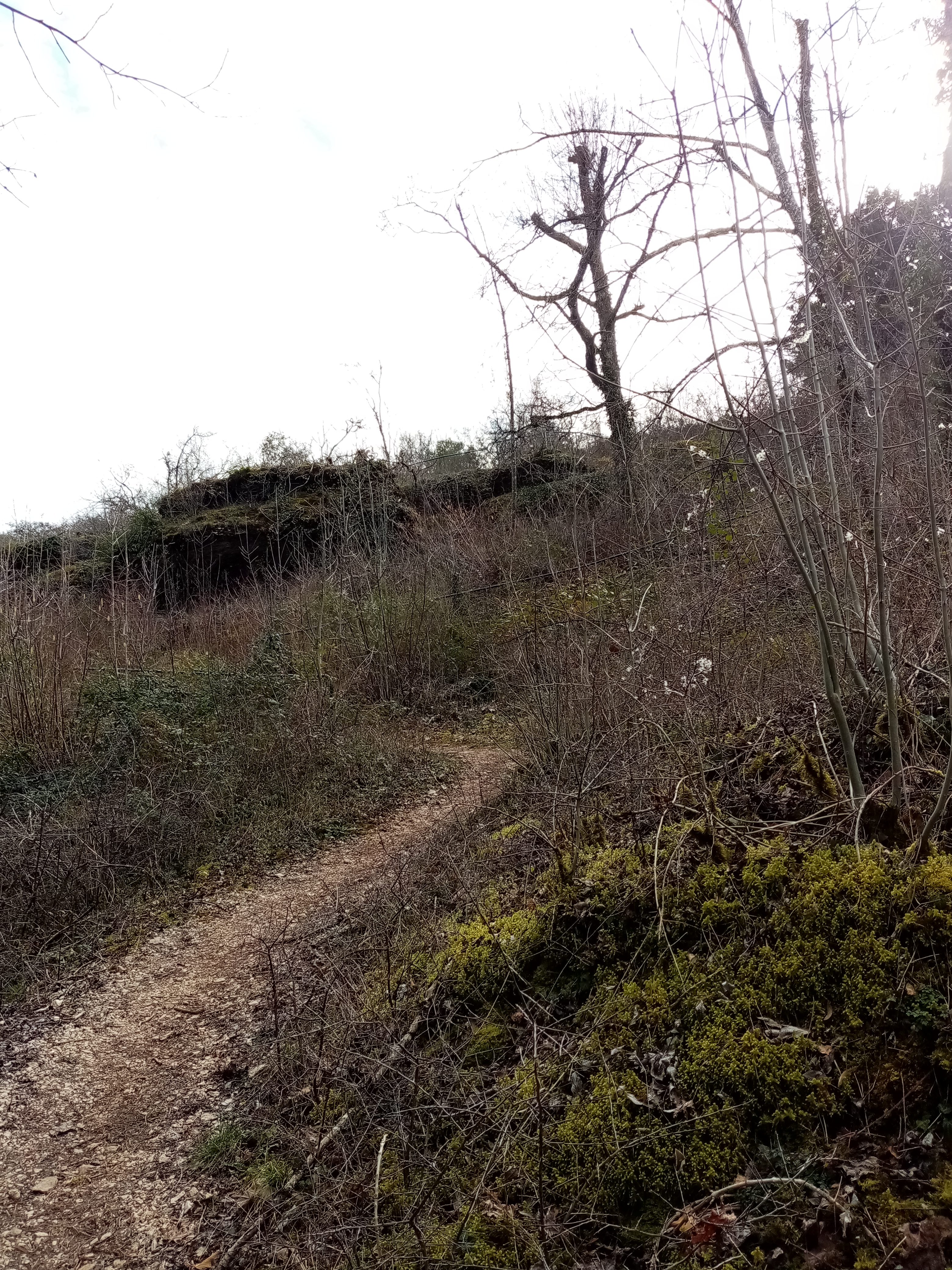 Photo n° 4 de l'avis de fanyse.M fait le 10/03/2020 à 21:18