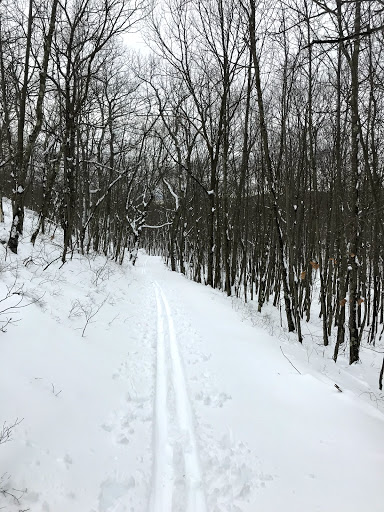 Ski Resort «High Point Cross Country Ski Center», reviews and photos, 1480 NJ-23, Sussex, NJ 07461, USA