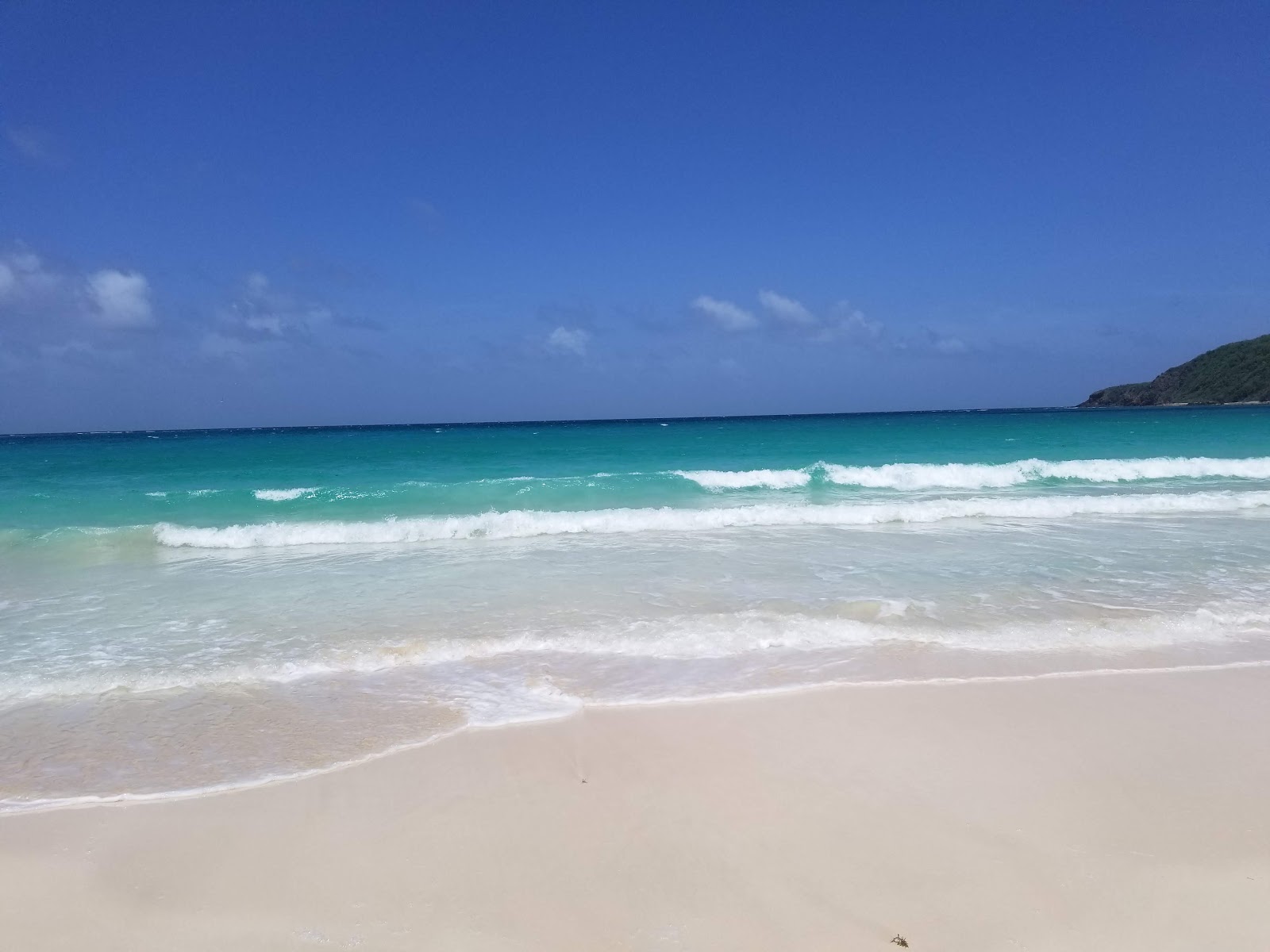 Φωτογραφία του Luis Pena beach άγρια περιοχή