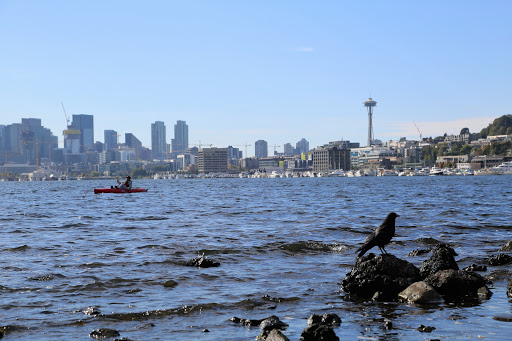 Park «Volunteer Park», reviews and photos, 1247 15th Ave E, Seattle, WA 98112, USA