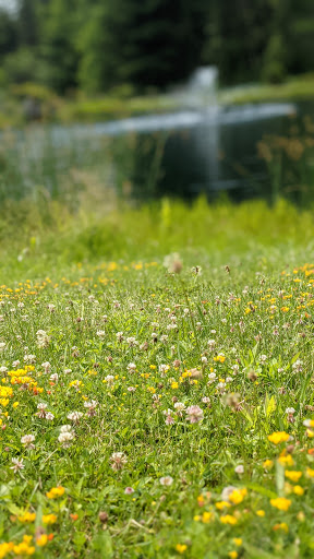 Winery «Six Mile Creek Vineyard», reviews and photos, 1551 Slaterville Rd, Ithaca, NY 14850, USA