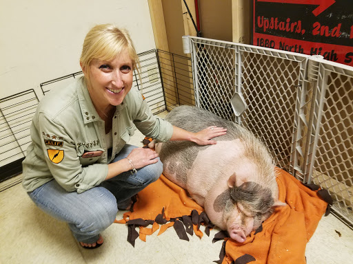 State Liquor Store «Campus State Liquor Store», reviews and photos, 2465 N High St, Columbus, OH 43202, USA