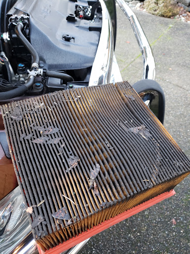 Car Repair and Maintenance «Midas», reviews and photos, 20620 WA-410, Bonney Lake, WA 98391, USA