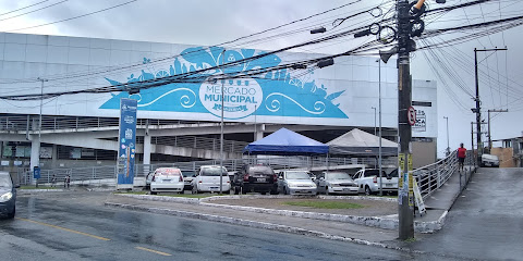 Artigo Evangélico Rei dos Reis Oficial