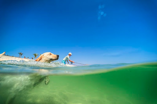 Outdoor Sports Store «Vital Outdoors», reviews and photos, 1224 Washington Ave # 125, Golden, CO 80401, USA