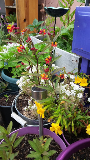 Book Store «Pipe & Thimble Bookstore», reviews and photos, 24830 Narbonne Ave, Lomita, CA 90717, USA