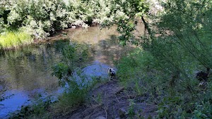 A Place to Play - photo 99