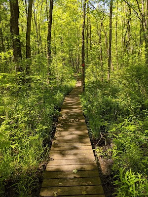 Great Swamp Watershed Association Conservation Management Area - photo 1
