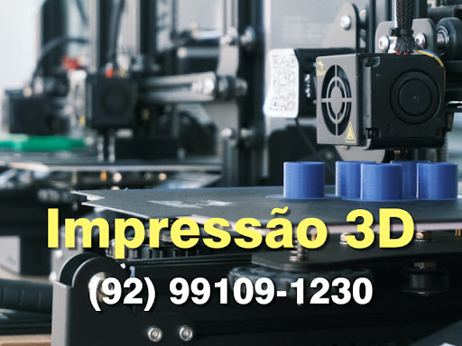 3D Print Manaus