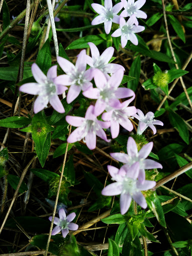 Nature Preserve «Robinson Preserve», reviews and photos, 9800 Manatee Ave W, Bradenton, FL 34209, USA