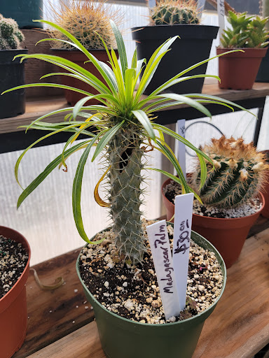 Florist «Platte Floral», reviews and photos, 1417 E Platte Ave, Colorado Springs, CO 80909, USA