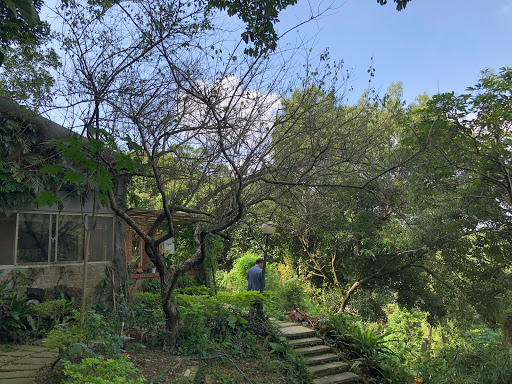 自在田貓空景觀咖啡廳/茶藝館/賞雞/老宅/景觀餐廳(ZiZaiTian: Maokong tea house & restaurants) 的照片