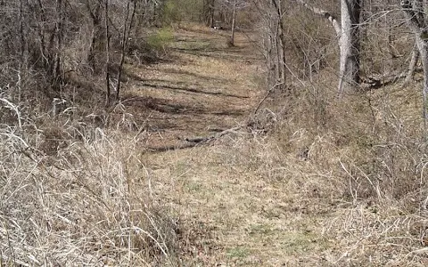 Re-Tire Disc Golf Course image