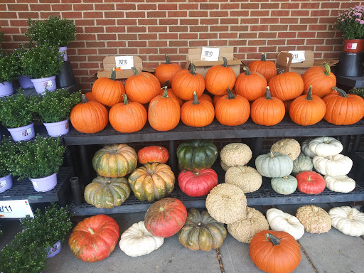 Grocery Store «Stop & Shop», reviews and photos, New State Highway New State Hwy, Raynham, MA 02767, USA