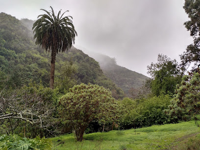Finca Casa de la Virgen