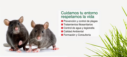 ARTE GESTIÓN AMBIENTAL (GRUPO ARTE) || Expertos en Control de Plagas y Legionella en Argamasilla de Calatrava, Ciudad Real