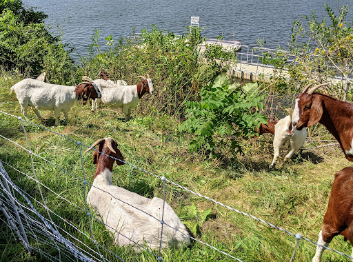 Park «Horizon Park», reviews and photos, High St, Belleville, MI 48111, USA