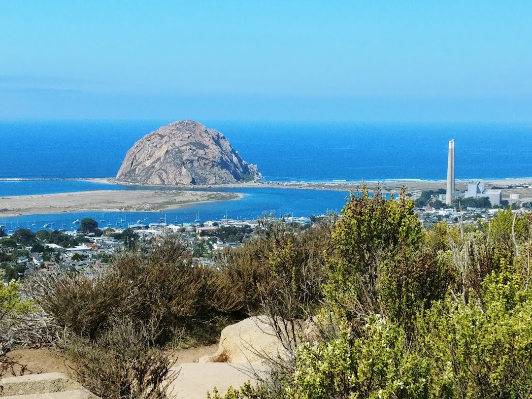 Black Hill Lookout