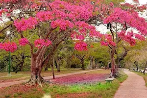 Vizcaya Park image